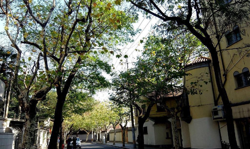 Amy's On Huashan Road Near Jiao Tong University Căn hộ *